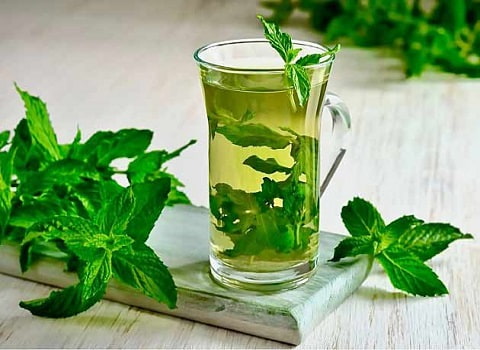 قیمت خرید عرق نعنا سنگین + فروش ویژه